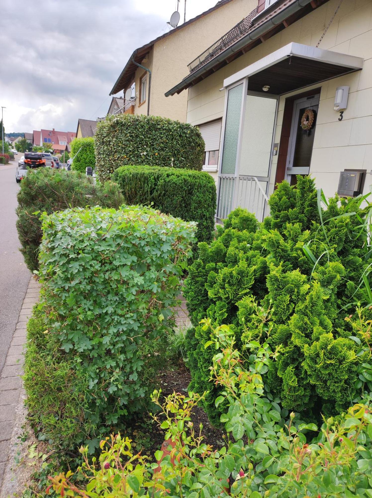 Ferienappartement Obrigheim Mosbach  Exterior foto